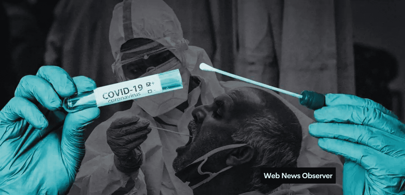 Web News Observer 6