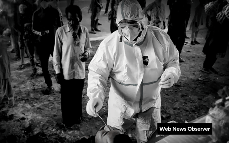 Web News Observer 1 1