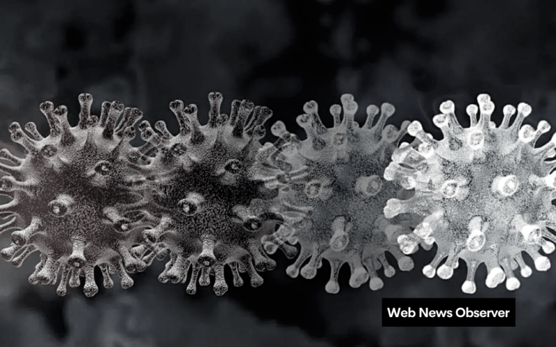 Web News Observer 1