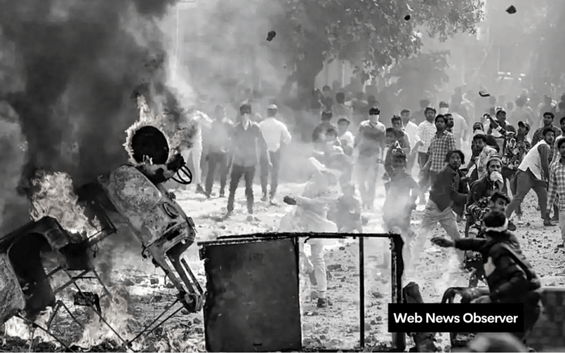 Web News Observer 28