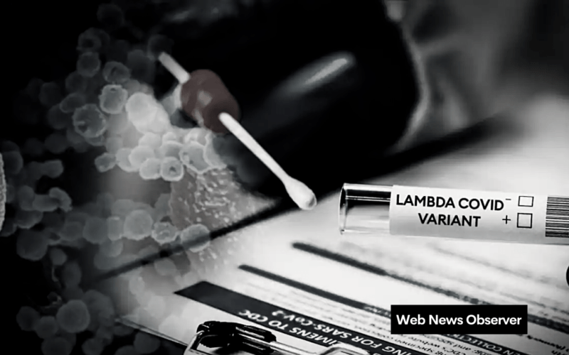 Web News Observer 38
