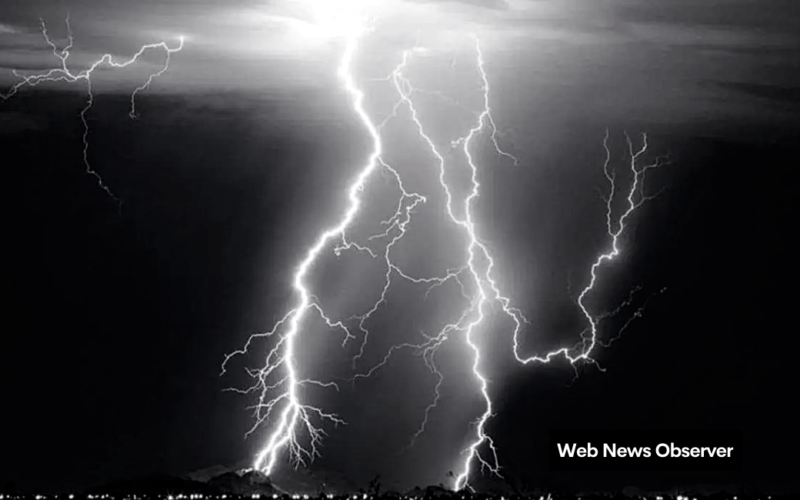 Web News Observer 49
