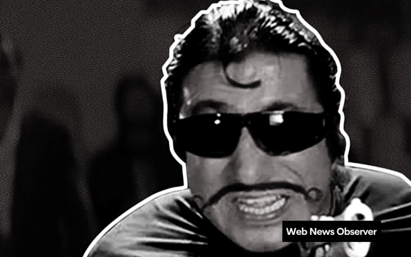 Web News Observer 61