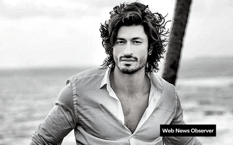 Web News Observer 65