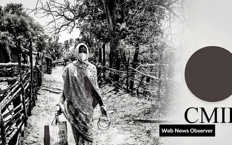 Web News Observer 70