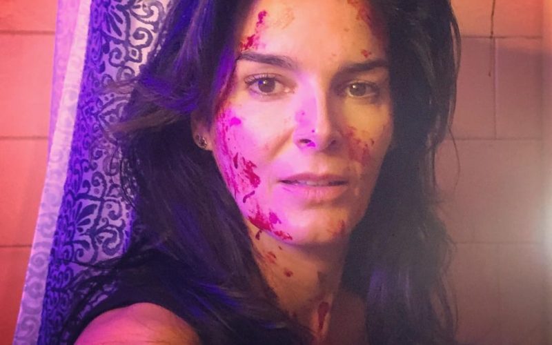 Angie Harmon