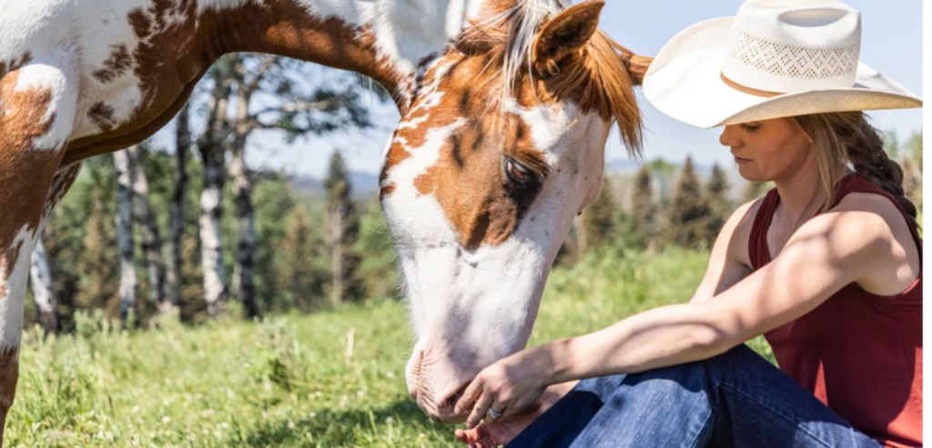 Heartland Season 16: Is it renewed or canceled? 2 heartland season 16