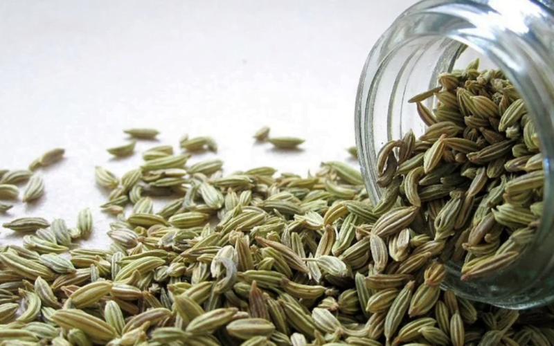 Fennel Seeds