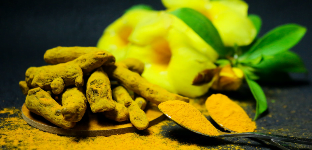 Foods that boost immunity
