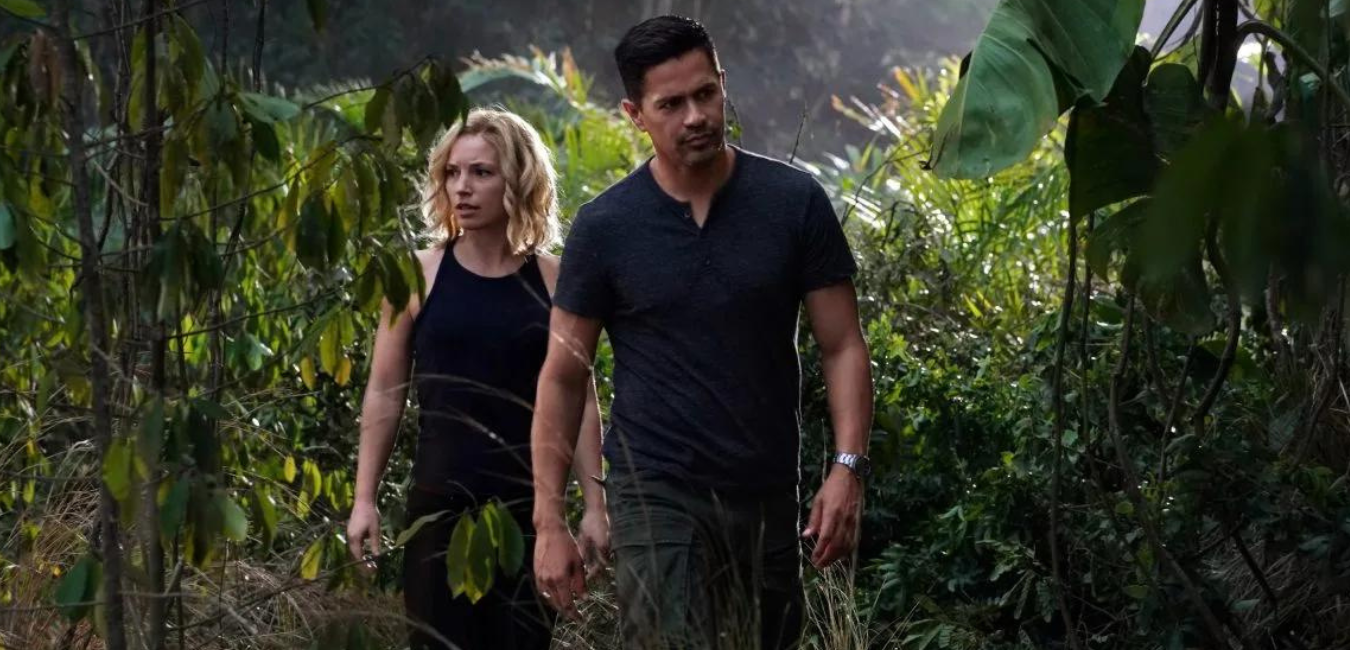 Magnum P.I. Season 5: Will NBC and USA Network come to sitcom's rescue following CBS's cancellation? 12 Magnum P.I. Season 5: Will the sitcom be resurrected by NBC and USA Network following CBS's cancellation?