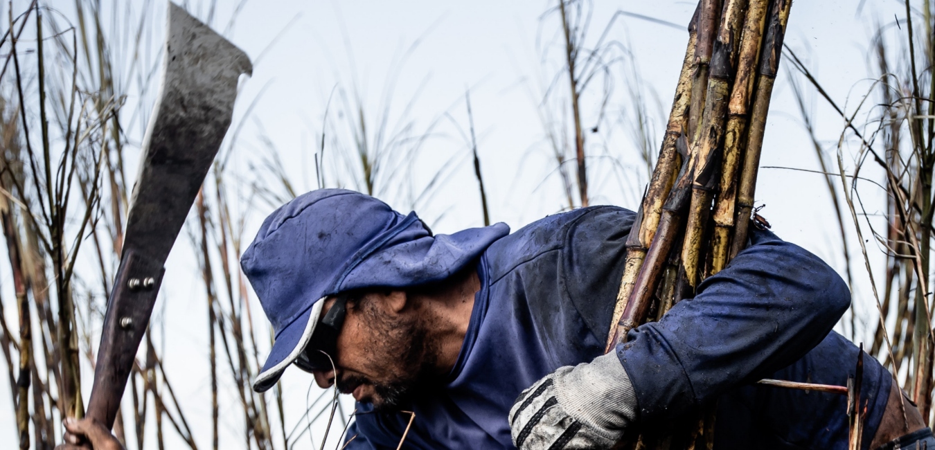 6 Incredible benefits of sugarcane juice 2 Sugarcane juice