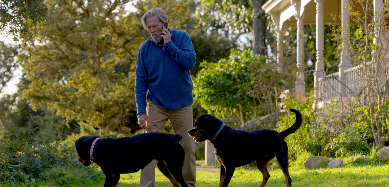 The Old Man Season 2: Is it renewed or canceled? 