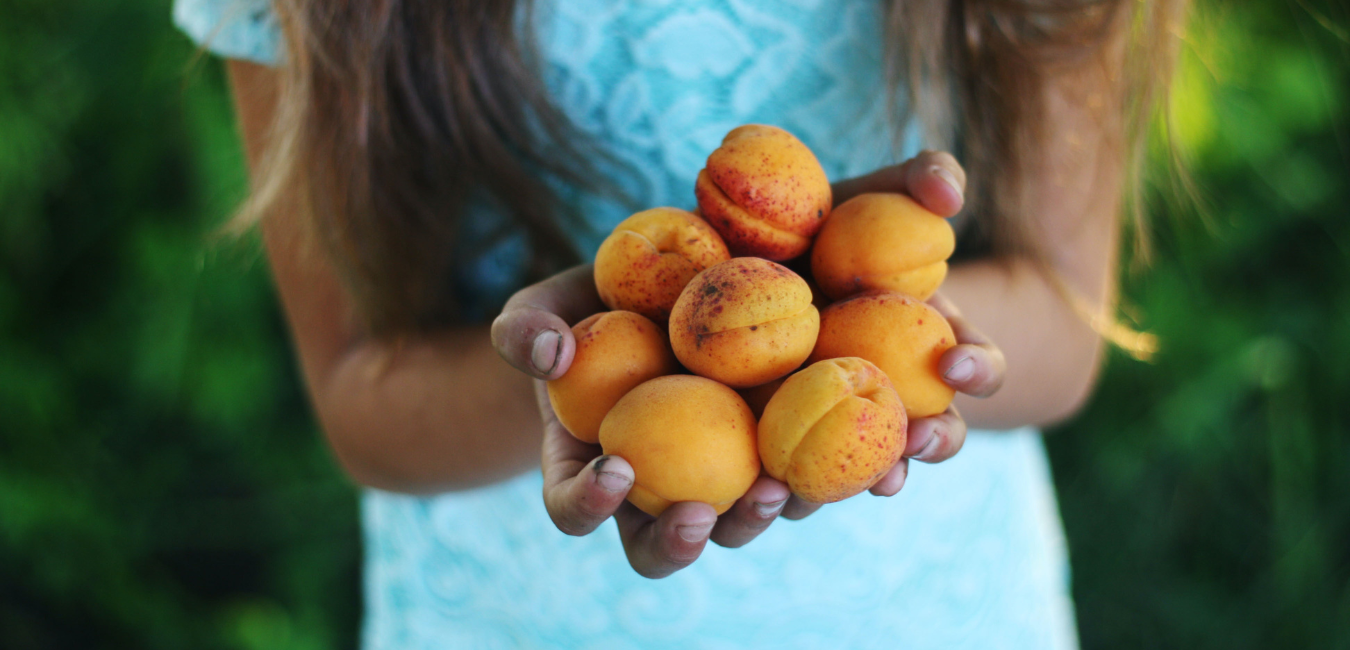 5 Benefits of eating peach during pregnancy 3 5-benefits-of-eating-peach-during-pregnancy
