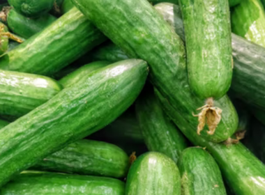 ash gourd juice health benefits
