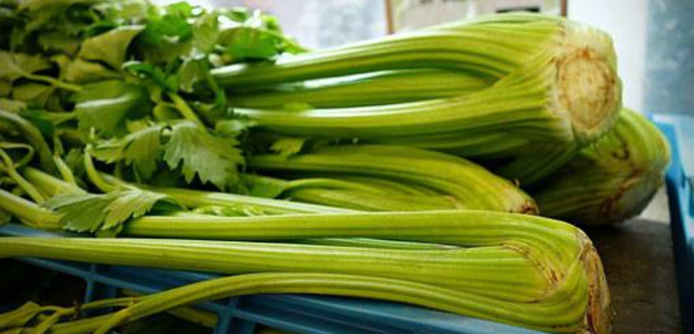 celery juice benefits morning ritual