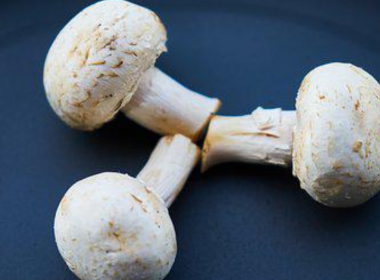 mushroom breakfast benefits