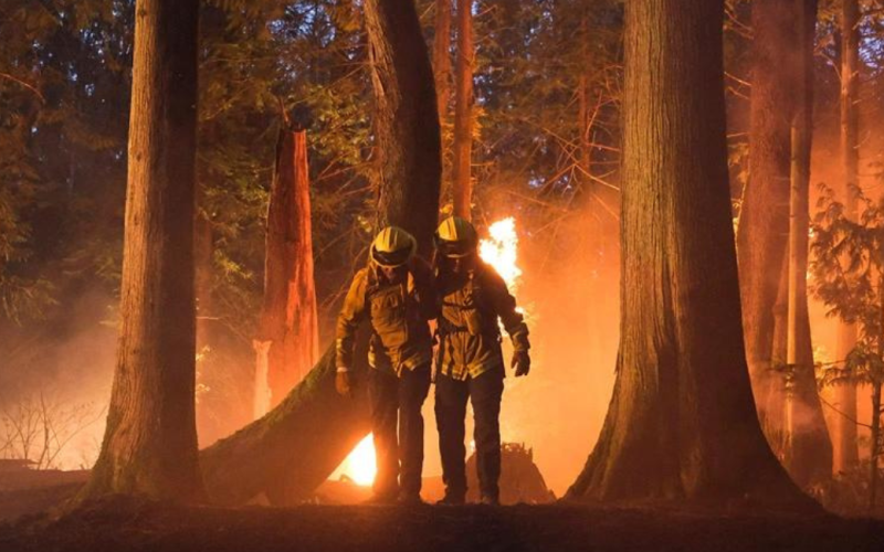 Fire Country: Release date, plot, cast, trailer and more updates