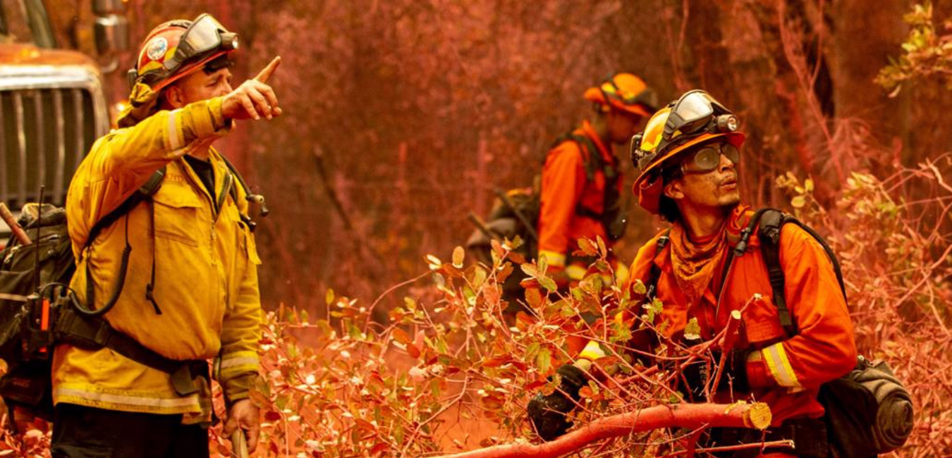 Fire Country: Release date, plot, cast, trailer and more updates