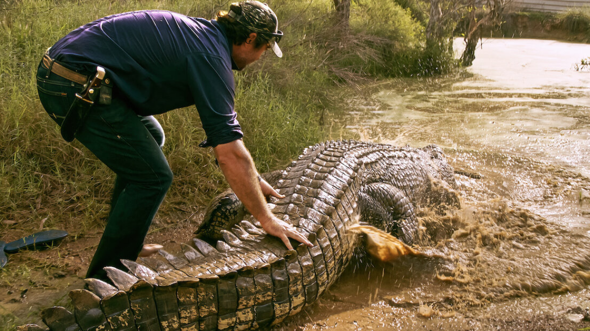 Wild Croc Territory Season 2: When will season 2 be released on Netflix?