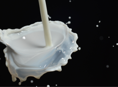 Milk