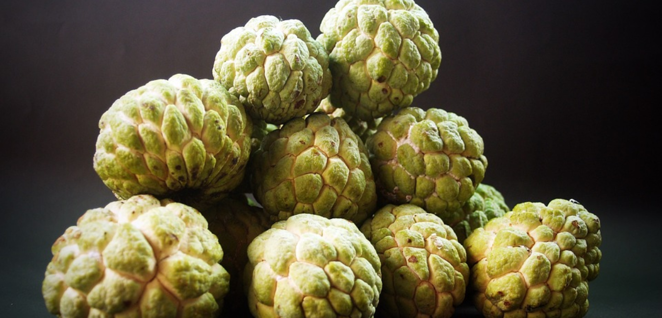 custard apple