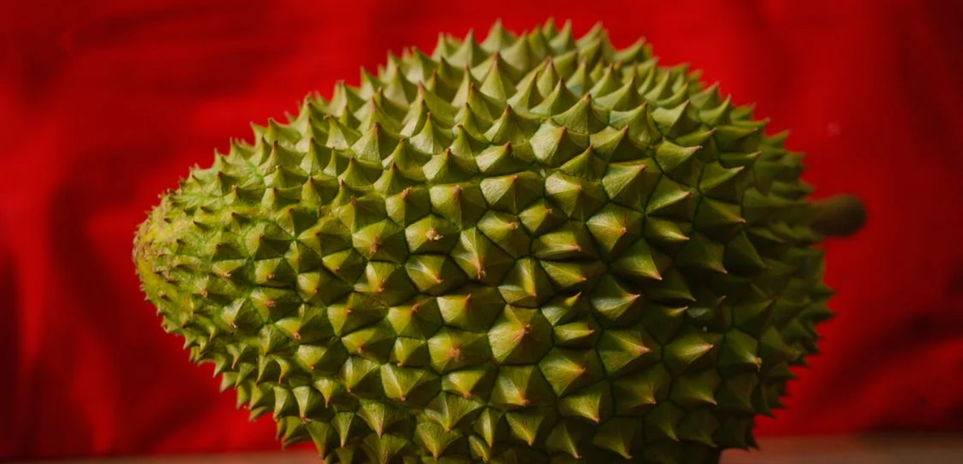 durian