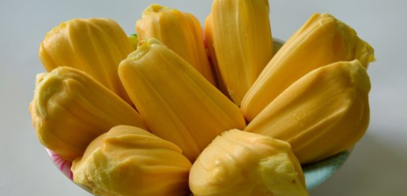 jackfruit