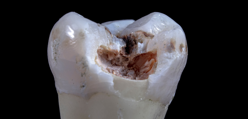 Copy of wild croc territory season 2 2023 02 22T213942.802 1