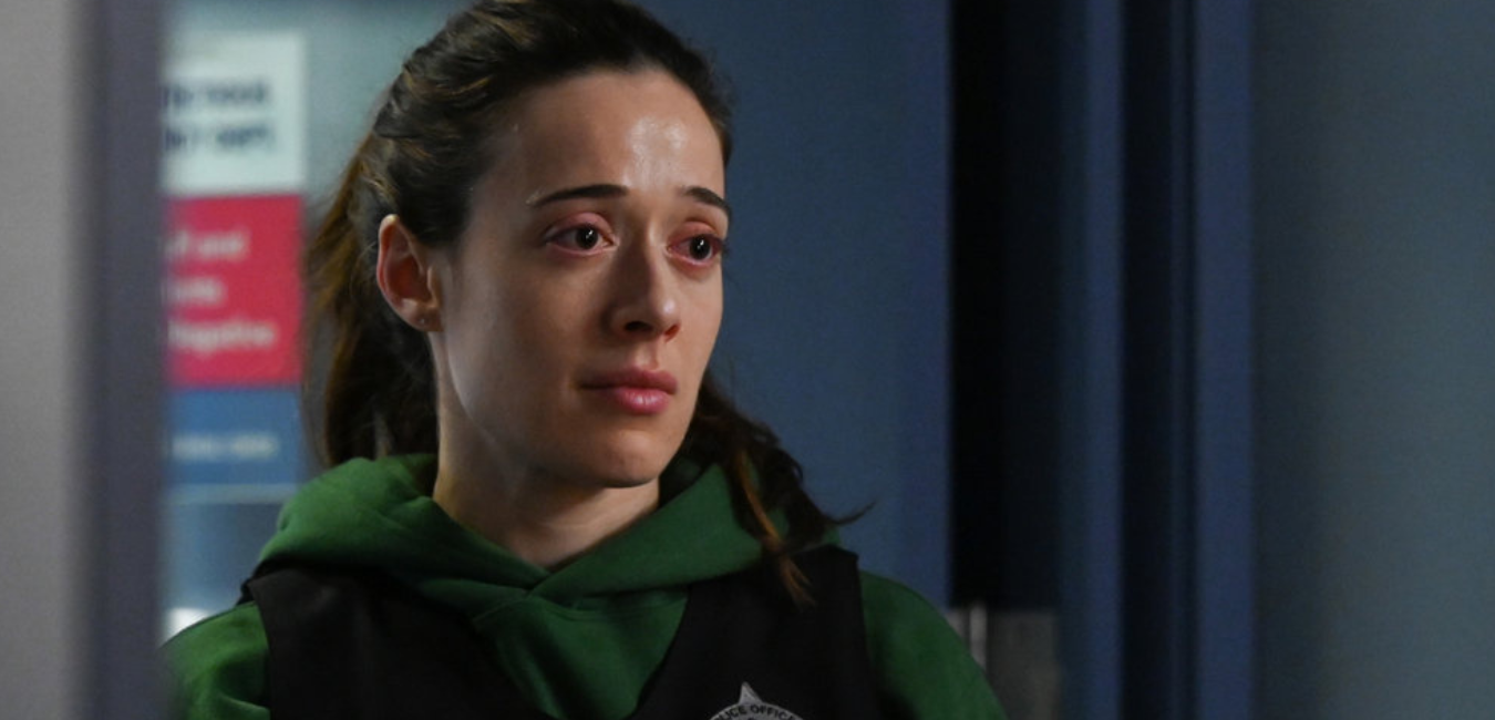 Chicago P.D. Season 11 Release Date: Will we get new updates this summer?