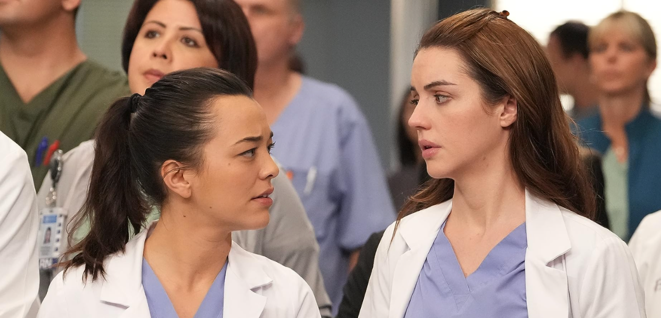 Grey’s Anatomy Season 20: What is the potential release date?