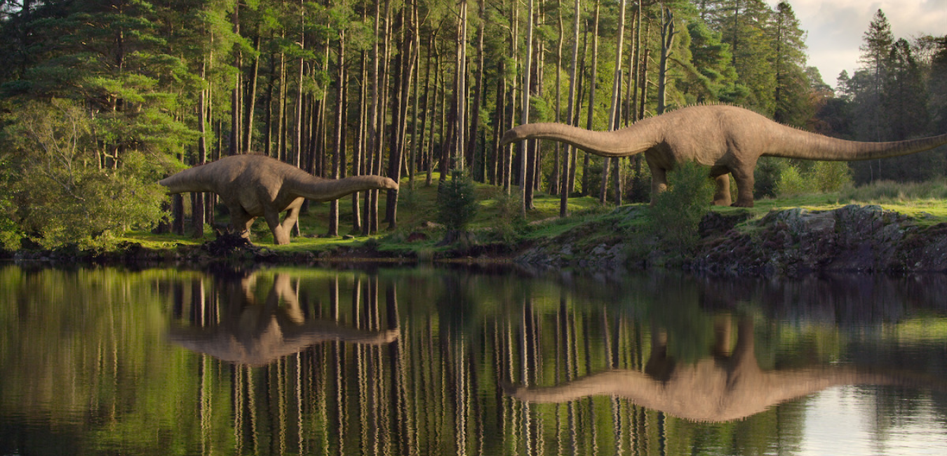 10 Best upcoming shows and movies on Netflix 4 life on our planet