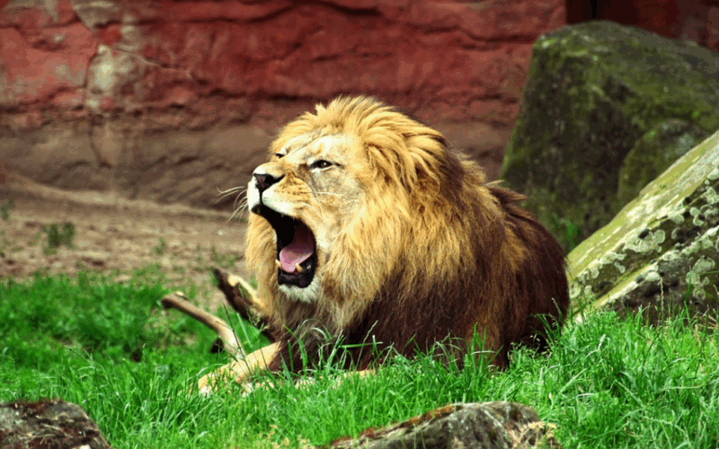 Denmark zoo