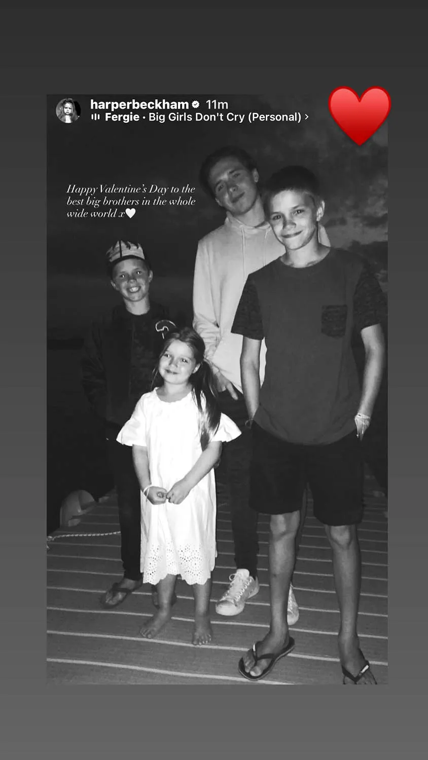Harper Beckham shares photo with brothers